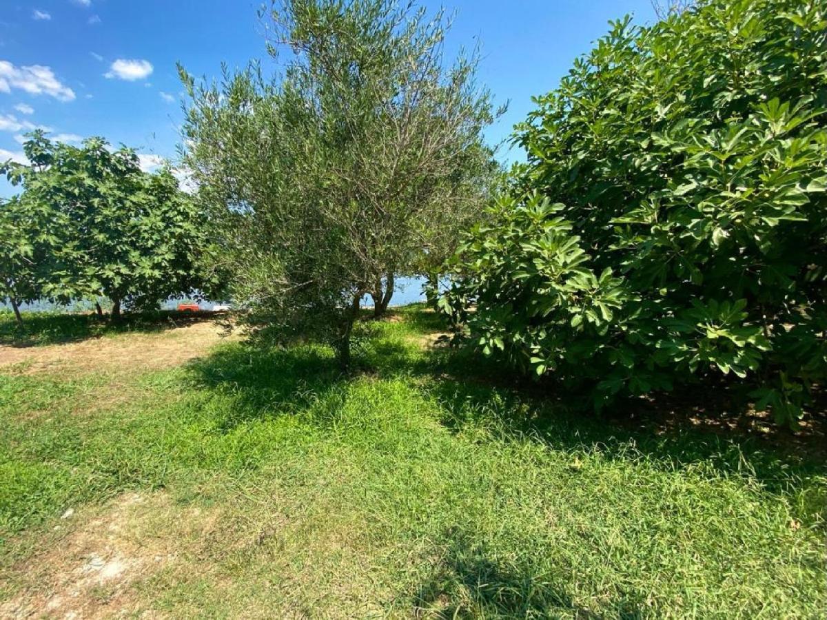 Riverside Apartments Chiara Ulcinj Zewnętrze zdjęcie